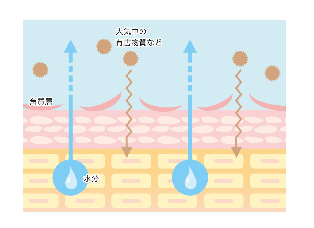 ターンオーバーが乱れているイメージ